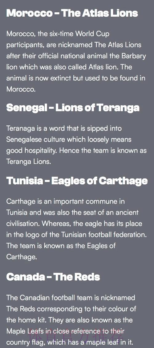 世界杯外围热门球队排行解析